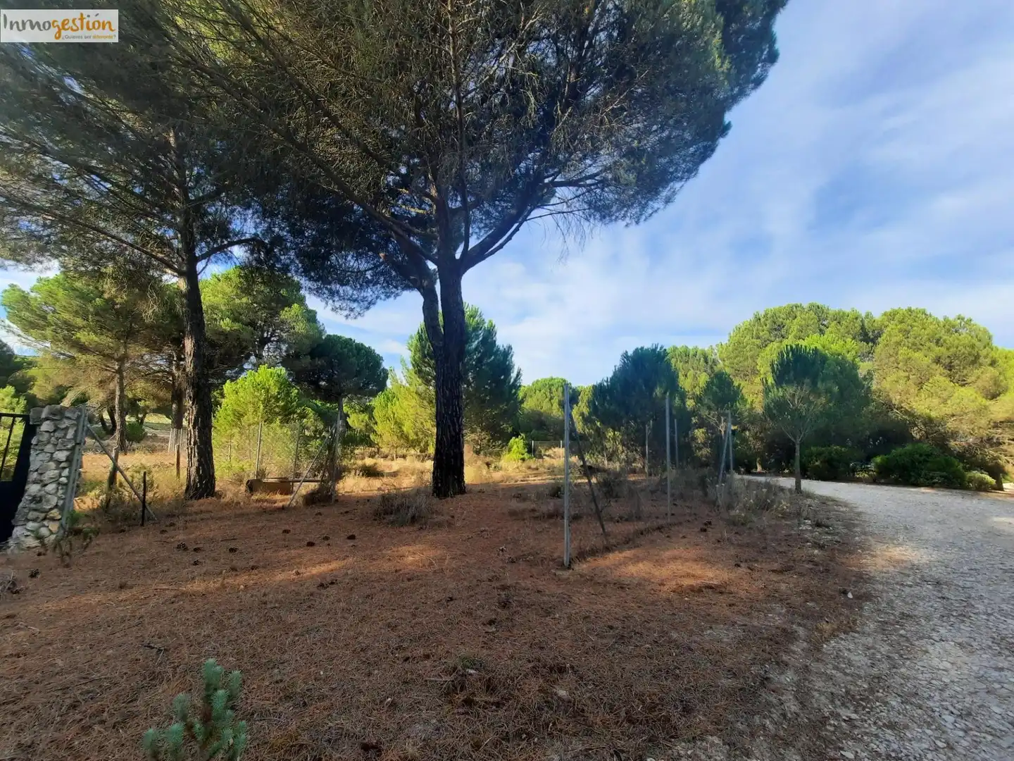 Terreno rustico in vendita a Carretera Tudela de Duero, imagen 3