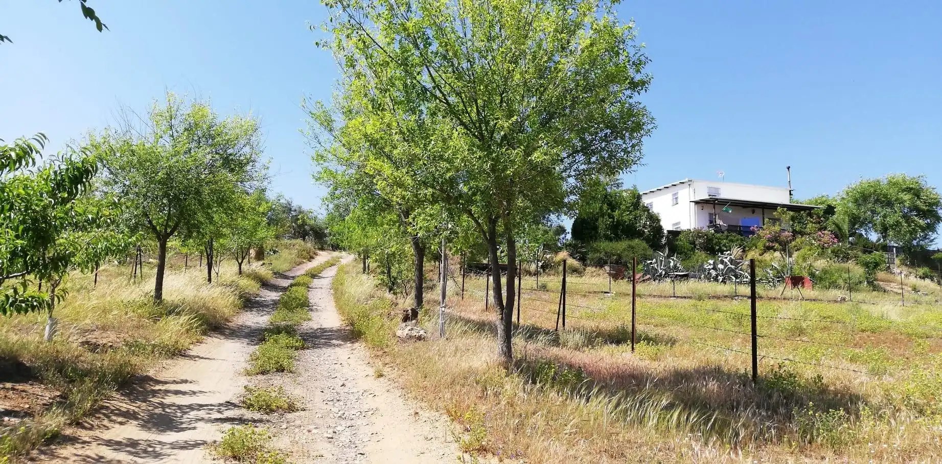 Casa o xalet en venda en Villanueva del Río y Minas amb Jardí privat, Terrassa i Traster