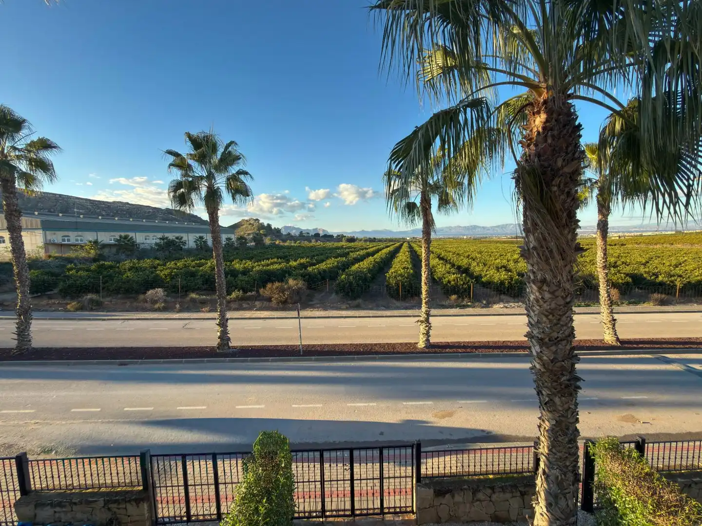 Vista exterior de Casa o chalet en venta en Algorfa con Jardín privado, Terraza y Balcón