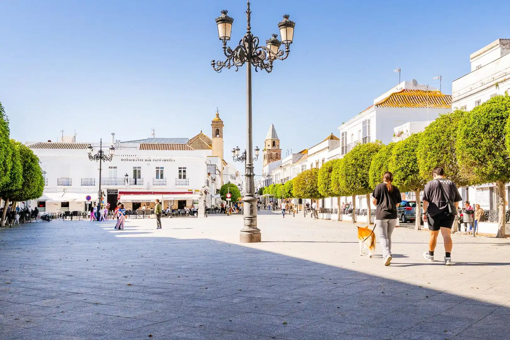 Casa amb terrassa en venda a Medina Sidonia, imagen 49