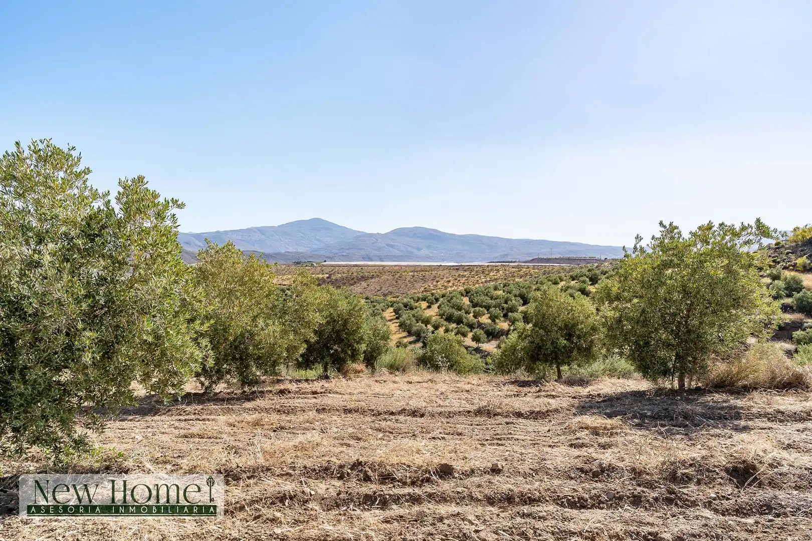 Finca rústica en venta en Ugíjar