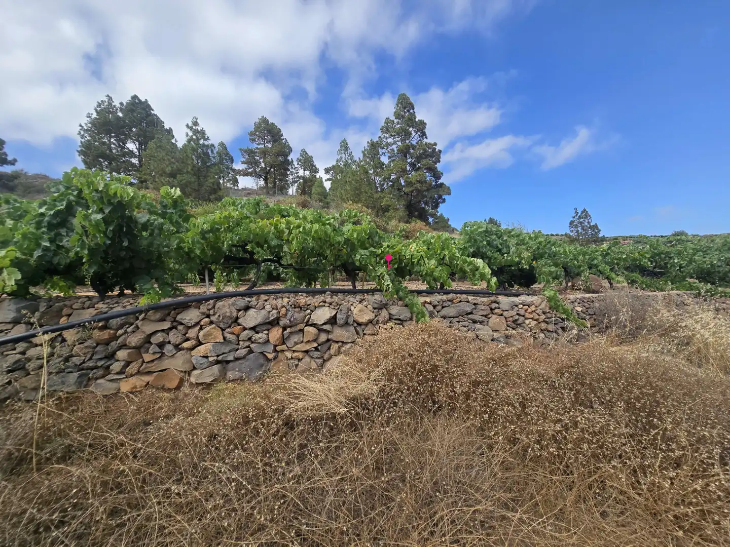 Vista exterior de Terreno en venta en Cruz de Tea