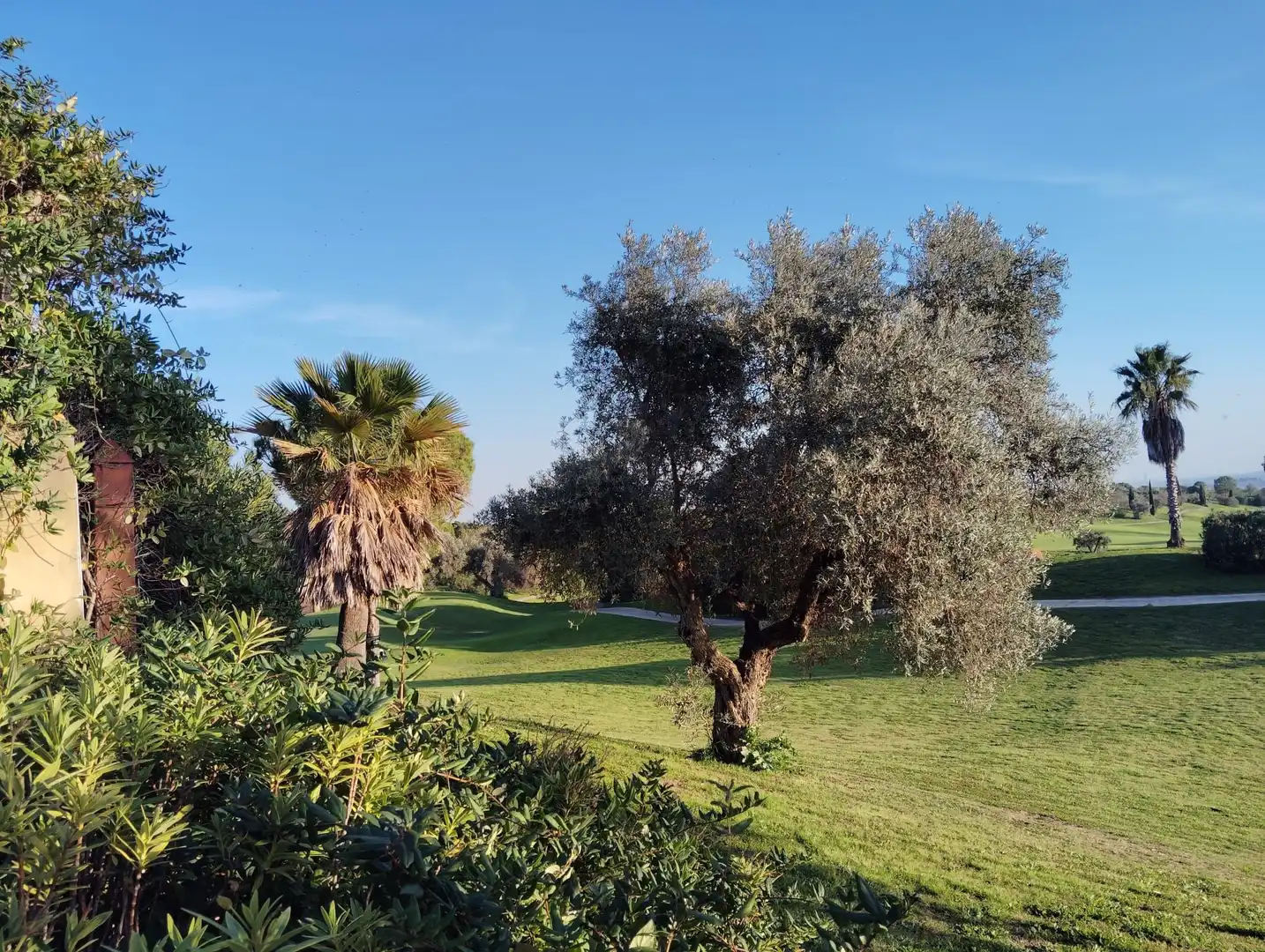 Jardín de Casa o chalet en venta en Guillena con Aire acondicionado, Calefacción y Jardín privado
