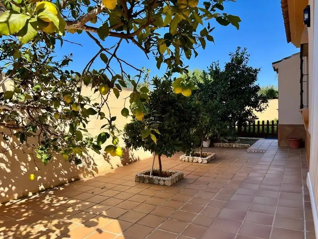 Terraza de Casa o chalet en venta en Chiclana de la Frontera con Jardín privado, Terraza y Trastero