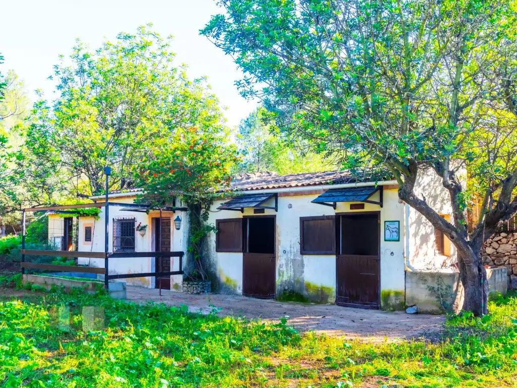 Commercial properties for sale in Calle Pedrapiquers (Dels), Borriol
