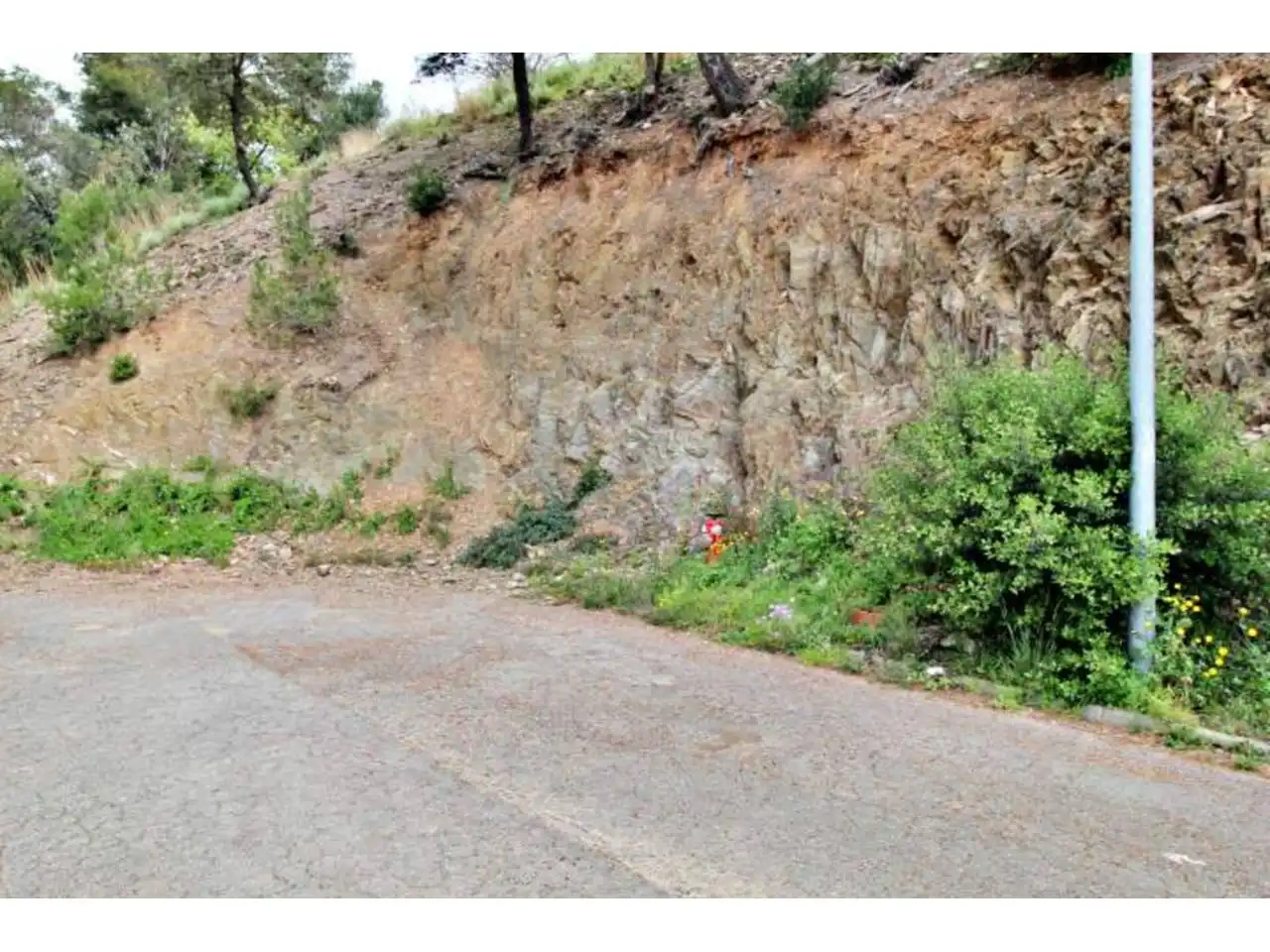 Rural land for sale in Calle Llosa, imagen 7