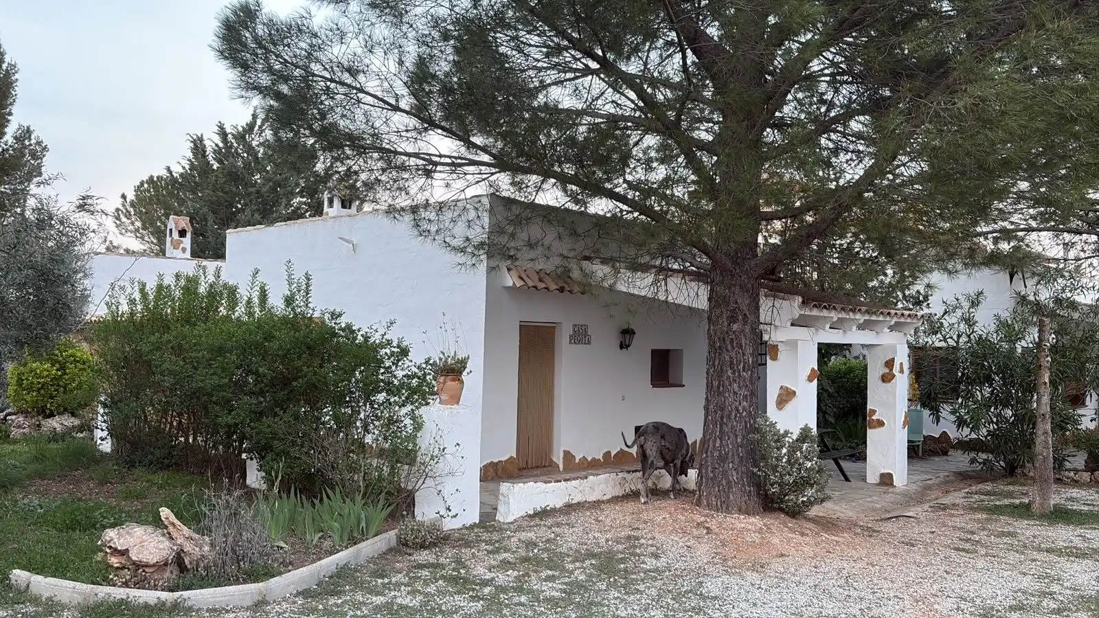 Vista exterior de Finca rústica en venta en Pozo Alcón con Aire acondicionado, Jardín privado y Terraza