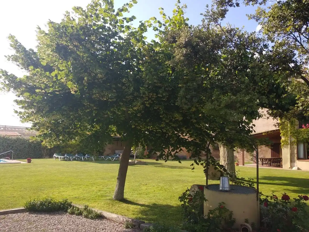 Jardí de Casa o xalet en venda en Vilanova de Bellpuig amb Calefacció, Jardí privat i Piscina