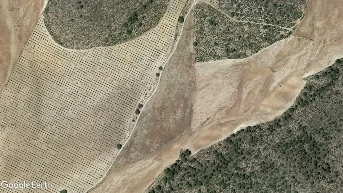 Terreno rustico in vendita a Tobarra