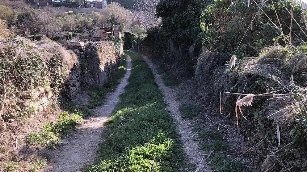 Terreni e lotti in vendita a Paraje Fuentecilla, imagen 6