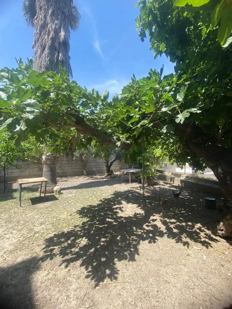 Houses for sale in Pego
