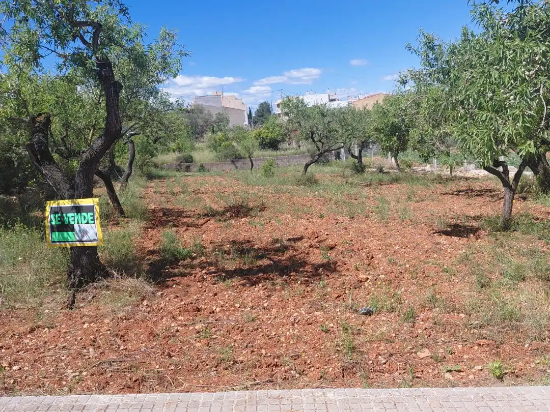 Terreno residencial en venta en san pedro 28, imagen 6