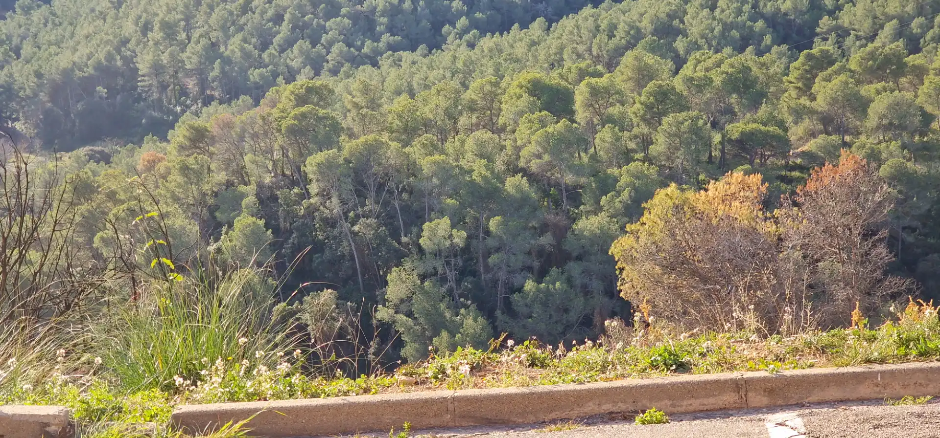 Residential land for sale in Carrer Doctor Cuatrecasas 63, imagen 6