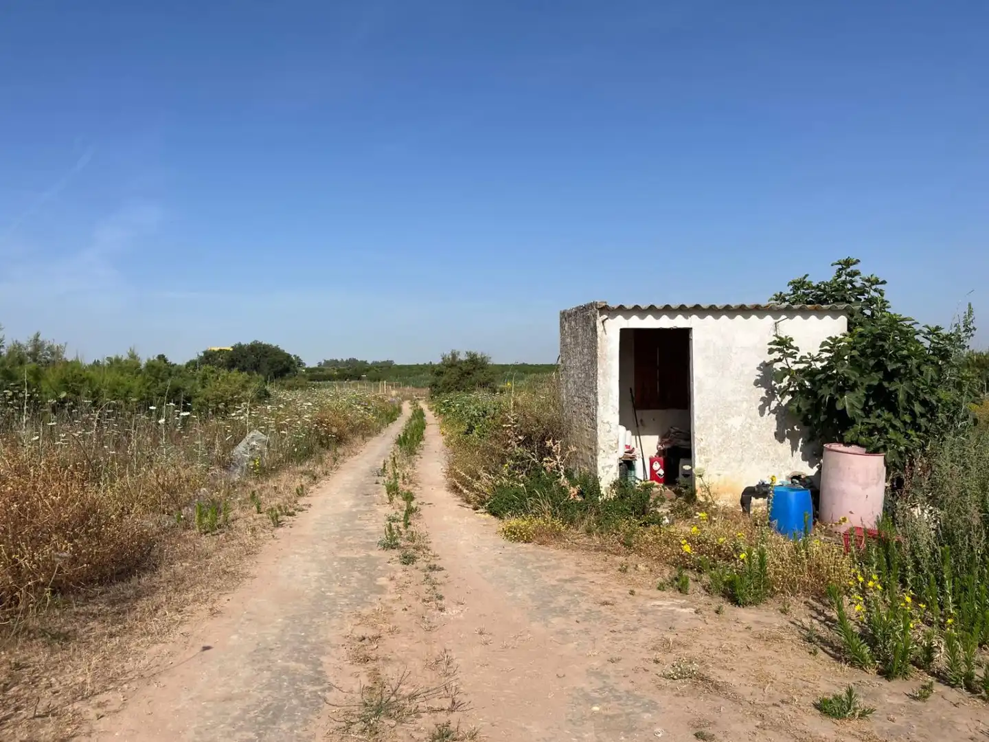Finca rústica en venta en Utrera