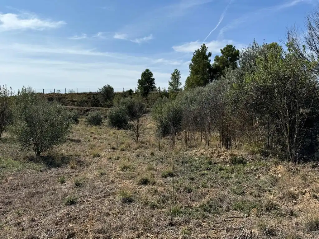 Terreni e lotti in vendita a Camino Fuente 5, imagen 7