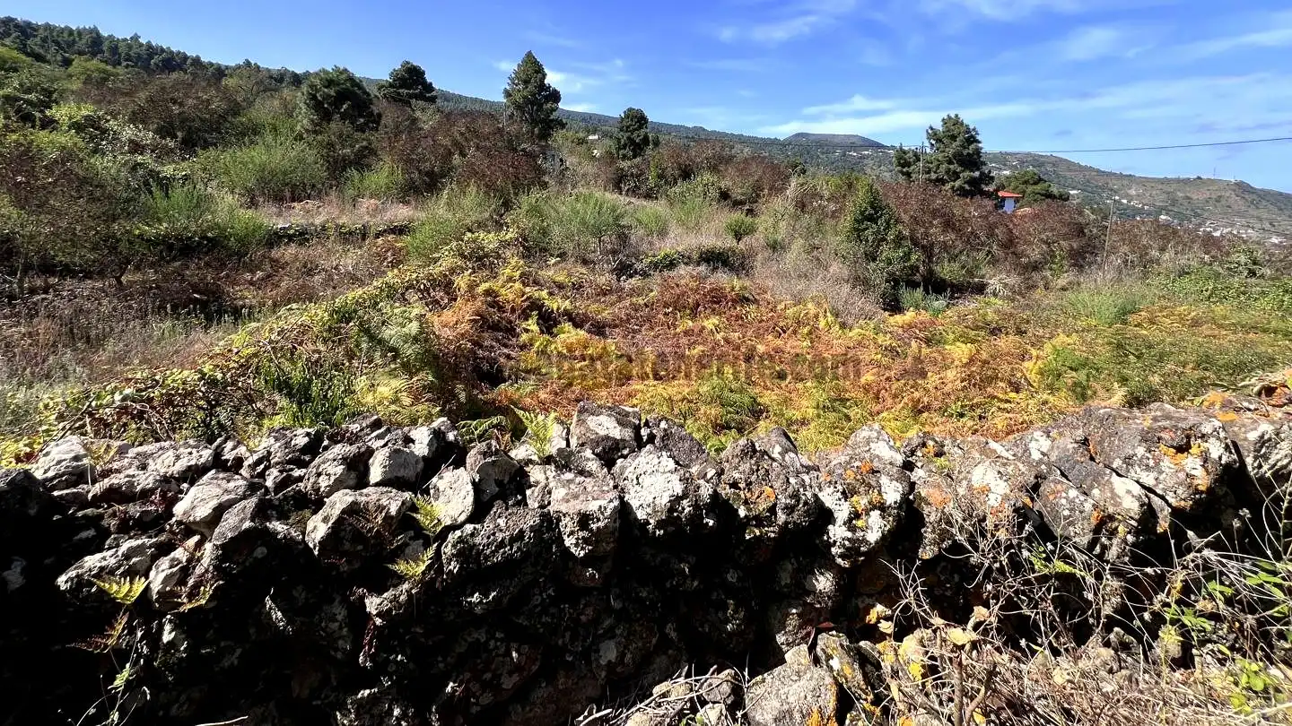 Rural land for sale in La Vega - El Amparo - Cueva del Viento, imagen 9