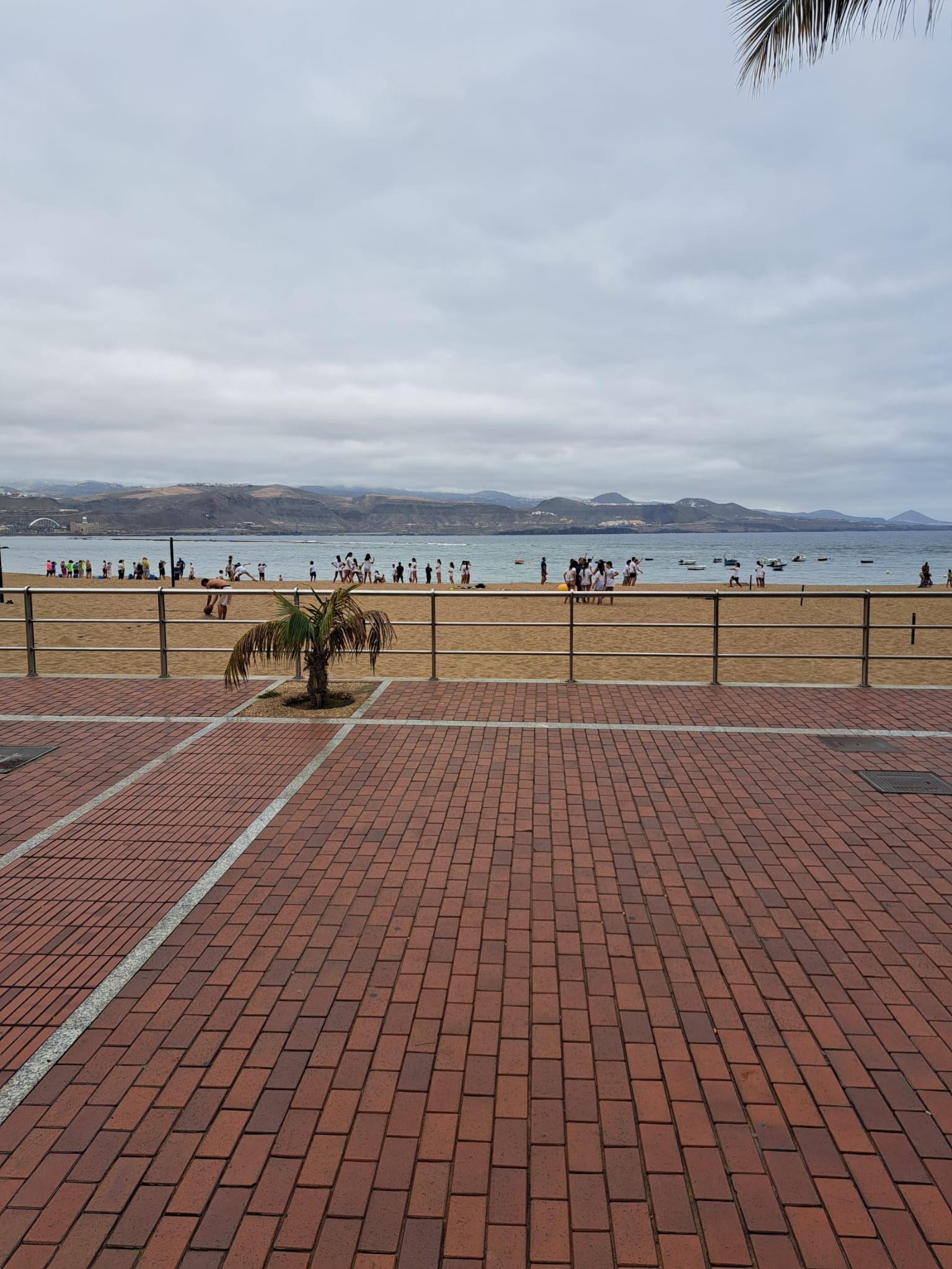 Estudio en venta en Santa Catalina - Canteras, Isleta - Puerto - Guanarteme