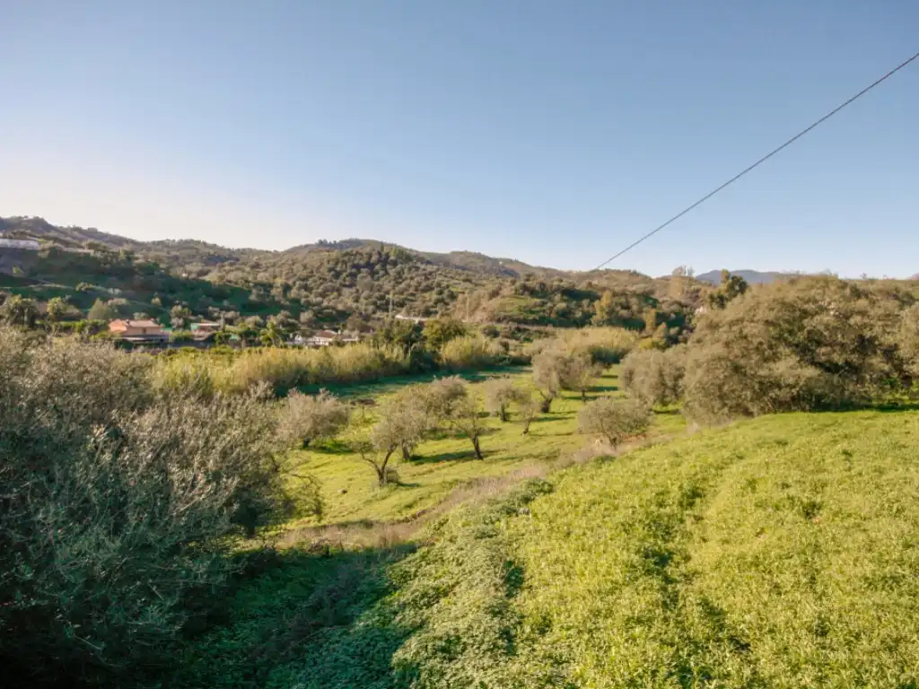 Country homes for sale in Coín