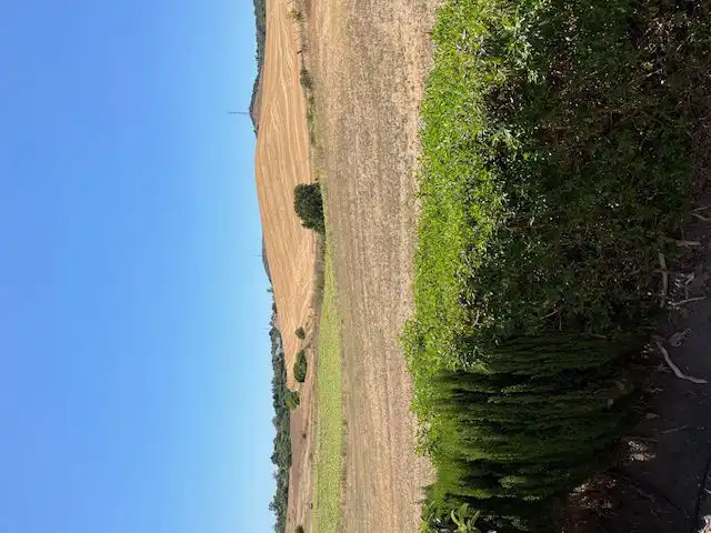 Apartament de lloguer en Vejer de la Frontera amb Terrassa