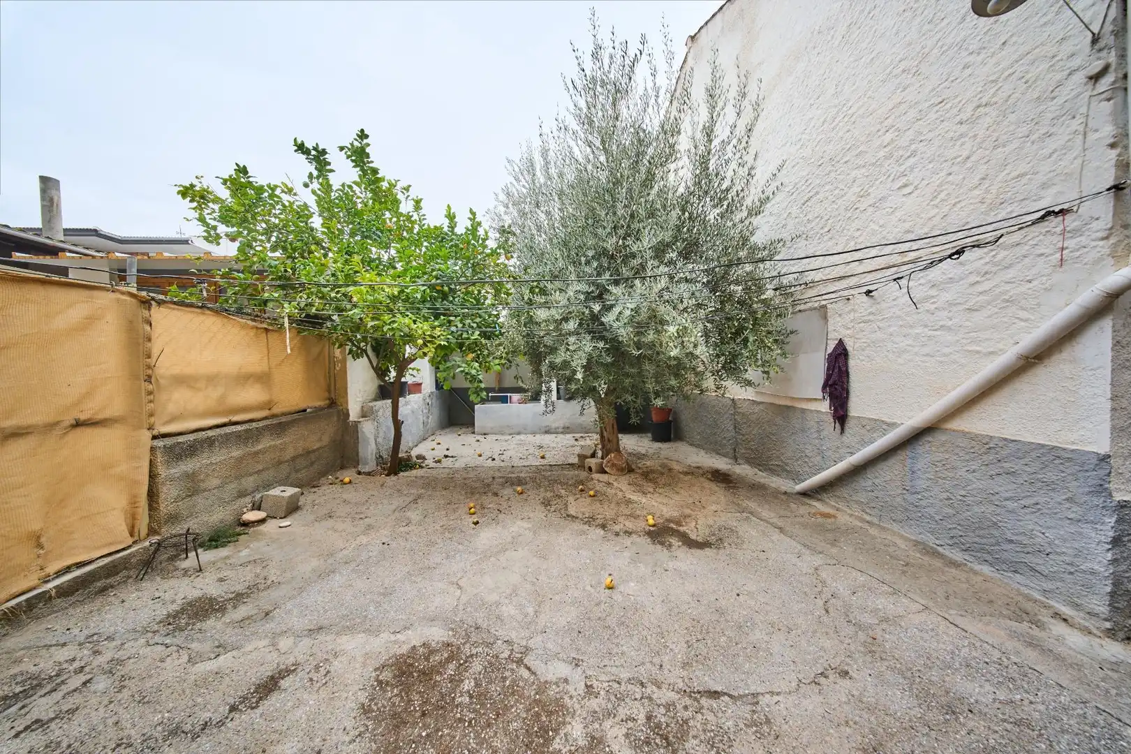 Vista exterior de Finca rústica en venta en Moraleda de Zafayona con Terraza y Balcón