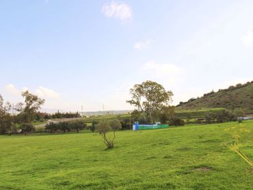 Terreno rustico in vendita a Coín