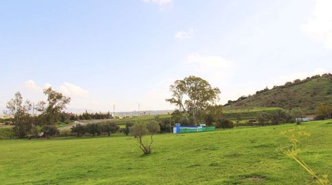 Parcela rústica en Coín