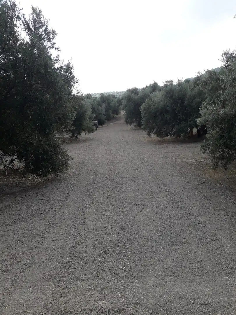 Terrenos y solares en venta en Úbeda, imagen 5