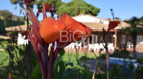 Foto 5 de Casa o chalet en venta en Sud, Argentona