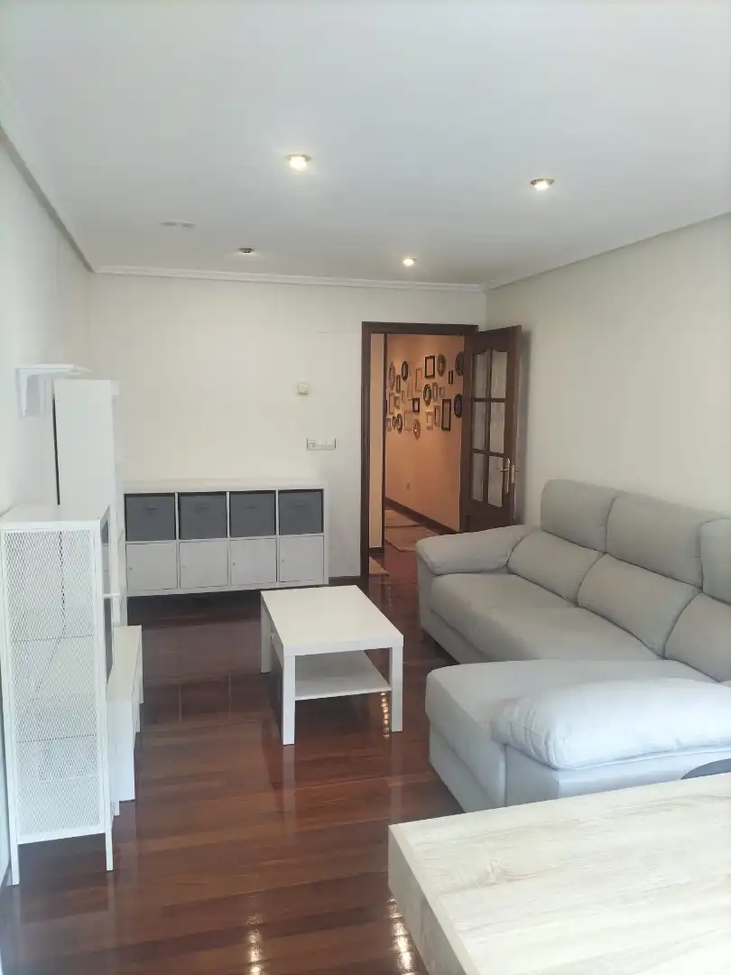 Living room of Flat for rent in Ourense Capital   with Heating, Storage room and Furnished