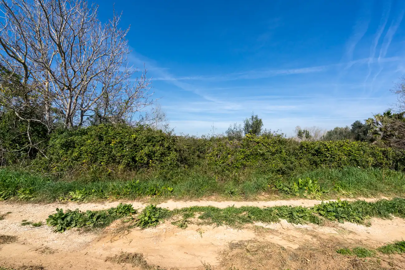 Rural land for sale in Vinallop, imagen 8