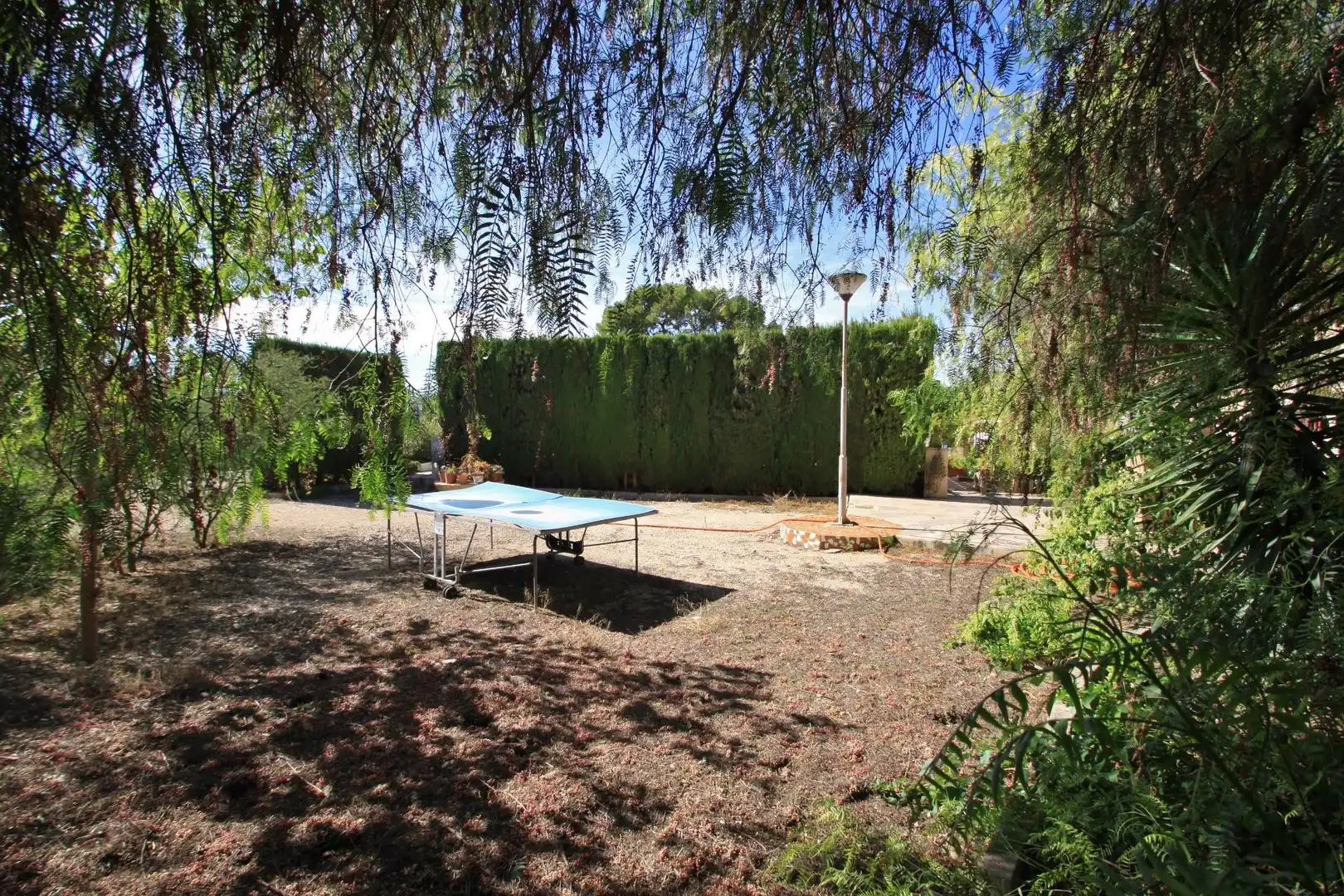 Jardí de Casa o xalet en venda en Novelda amb Jardí privat i Piscina
