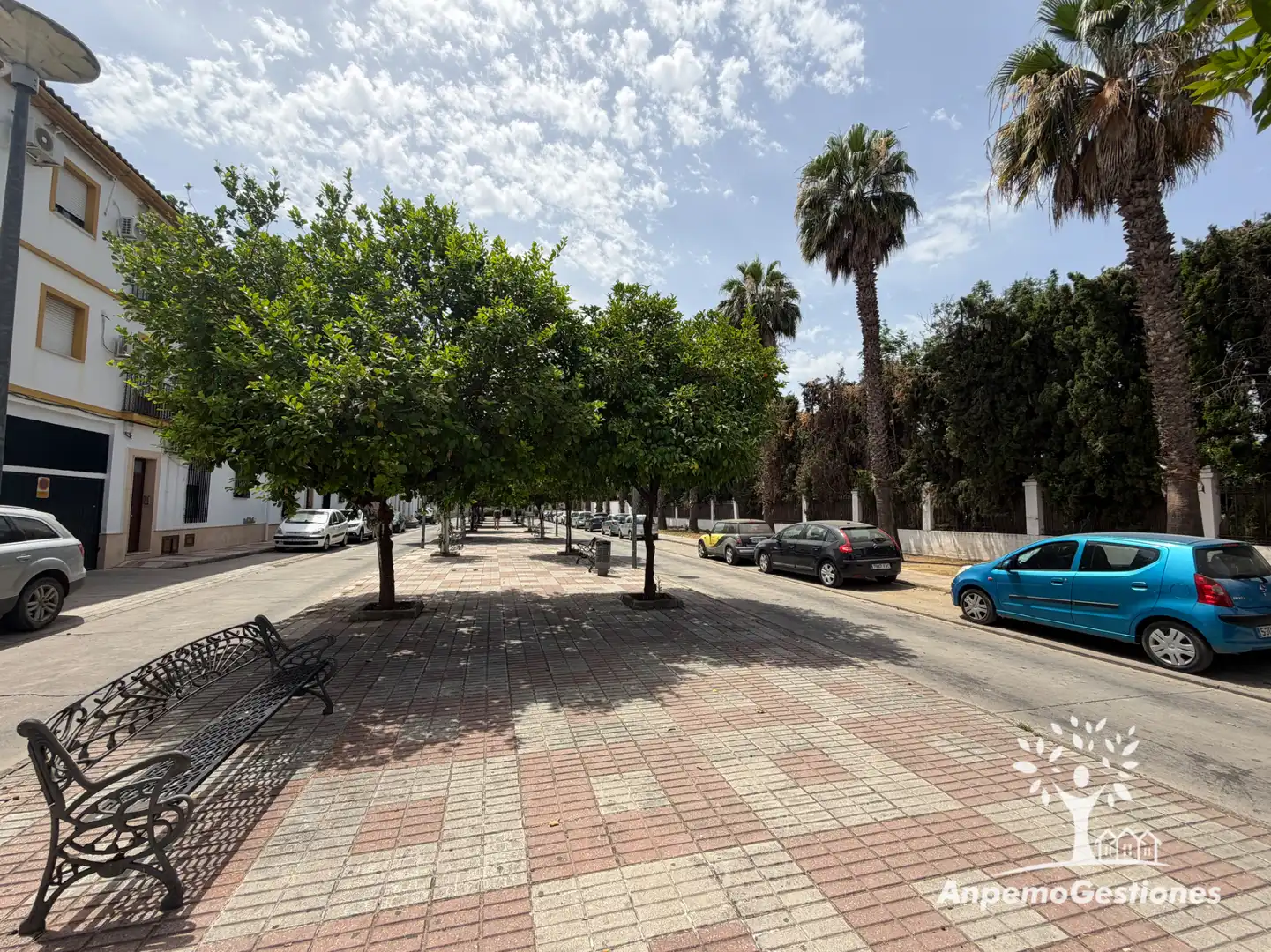 Vista exterior de Casa o xalet en venda en Palma del Río amb Terrassa