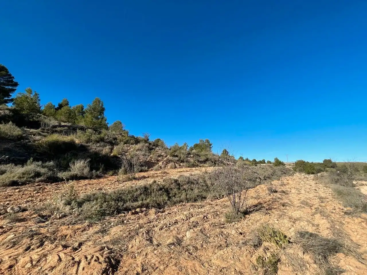 Rustikales Grundstück zum Verkauf in Jumilla, imagen 8