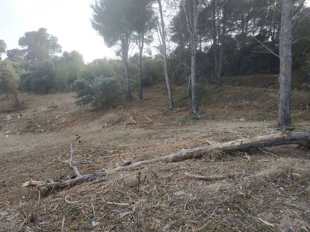 Terreno residencial en Venta en Dragó en L'Albiol