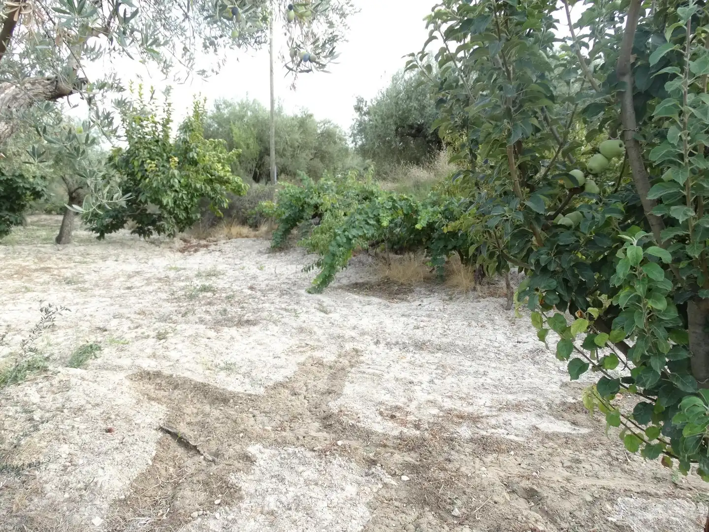 Villa avec piscine à vendre à Moratalla, imagen 27