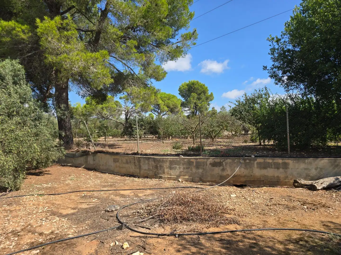 Finca rústica en venta en Freginals con Jardín privado