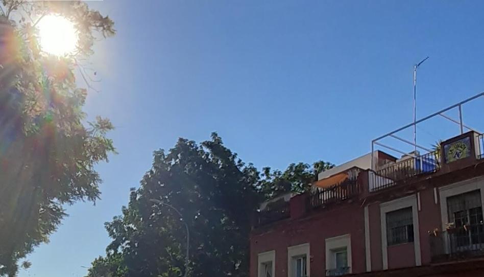 Photo 1 of Flat for sale in Ciudad Jardín, Sevilla