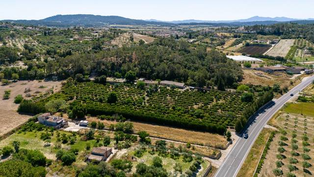 Finca rústica en Venta en Diseminado Diseminados Var en Sant Joan