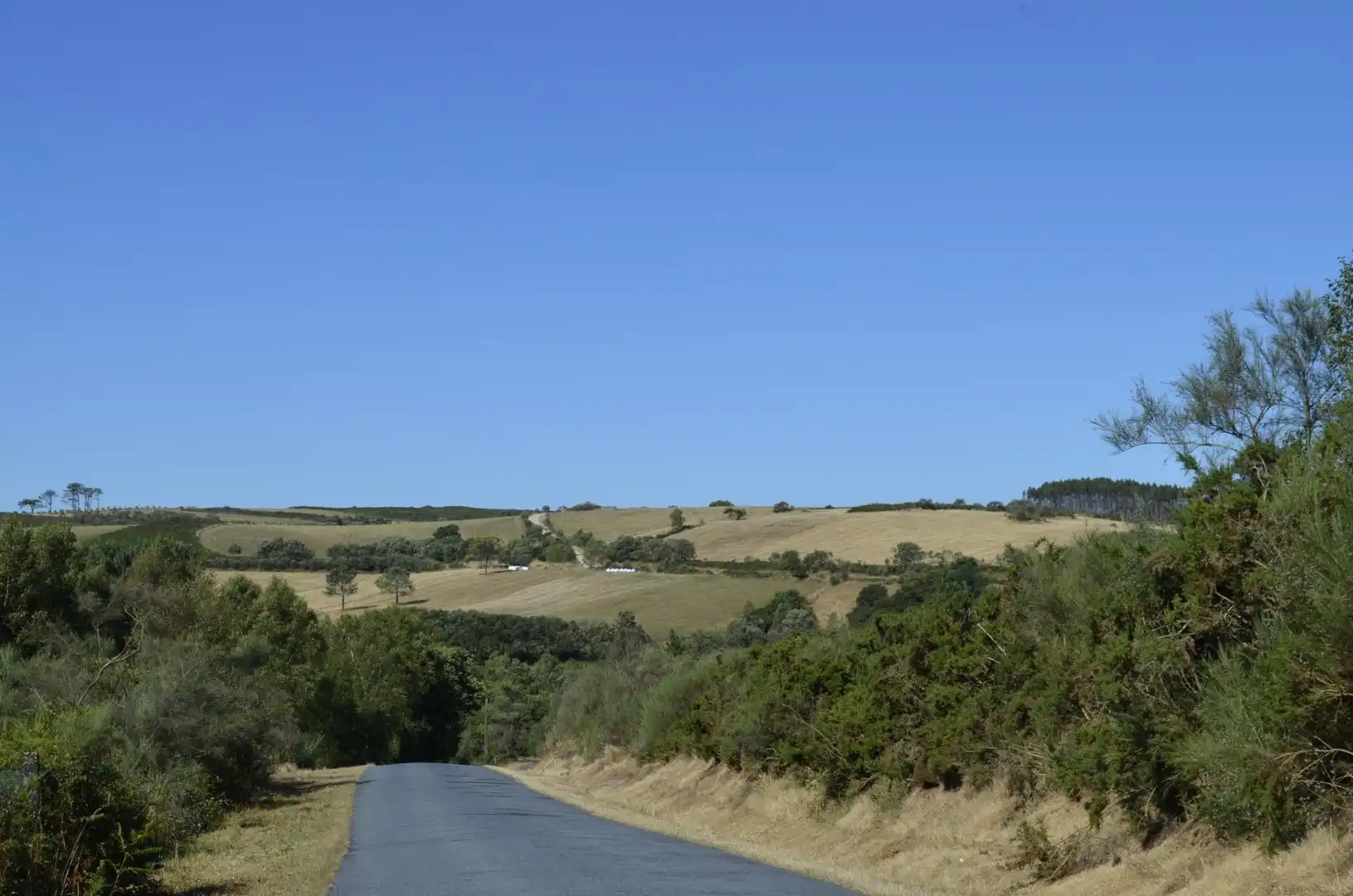 Terrain rustique à vendre à Carretera de Forcarei a Soutelo, imagen 4
