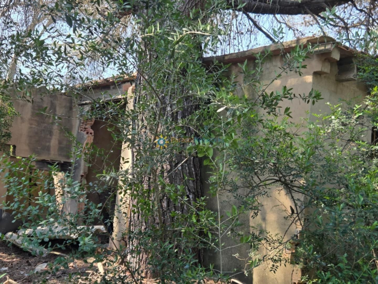 Exterior view of Land for sale in Bellús