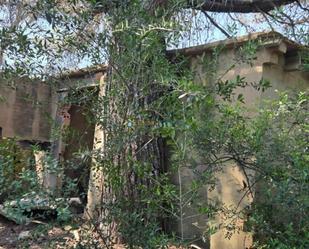 Exterior view of Land for sale in Bellús