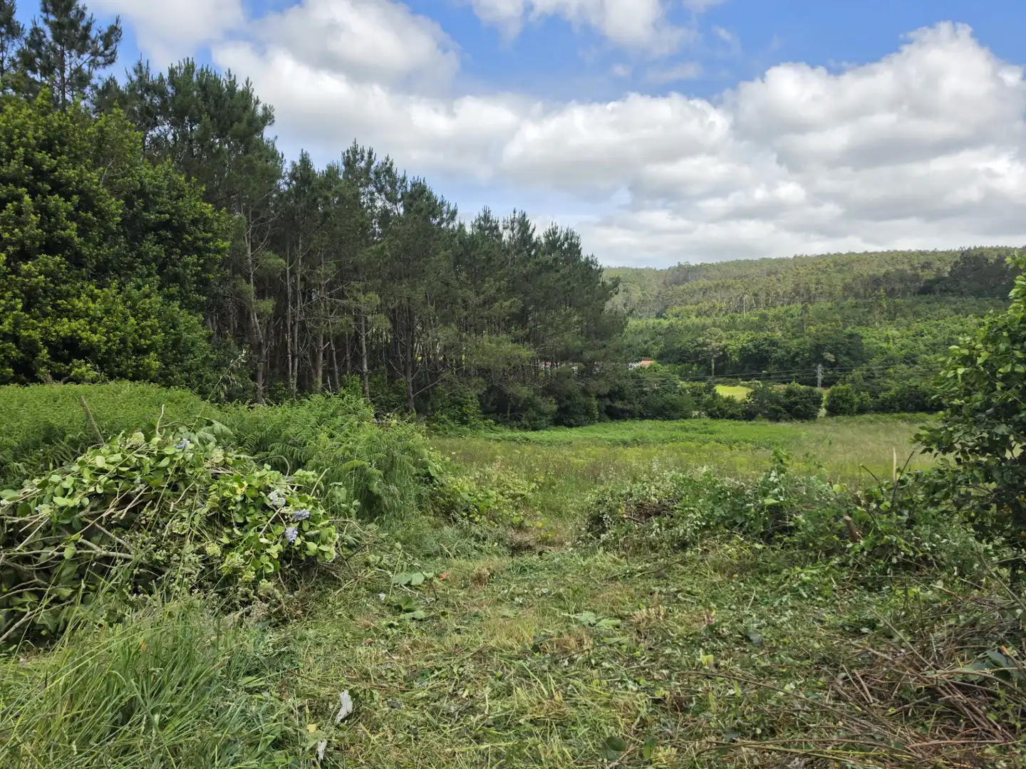 Finca rústica en venda en Vimianzo amb Jardí privat i Traster