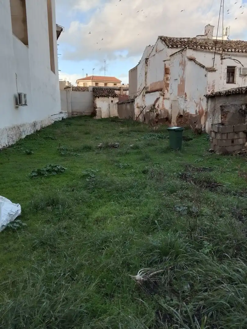 Lands and plots for sale in Lope de Vega, imagen 4
