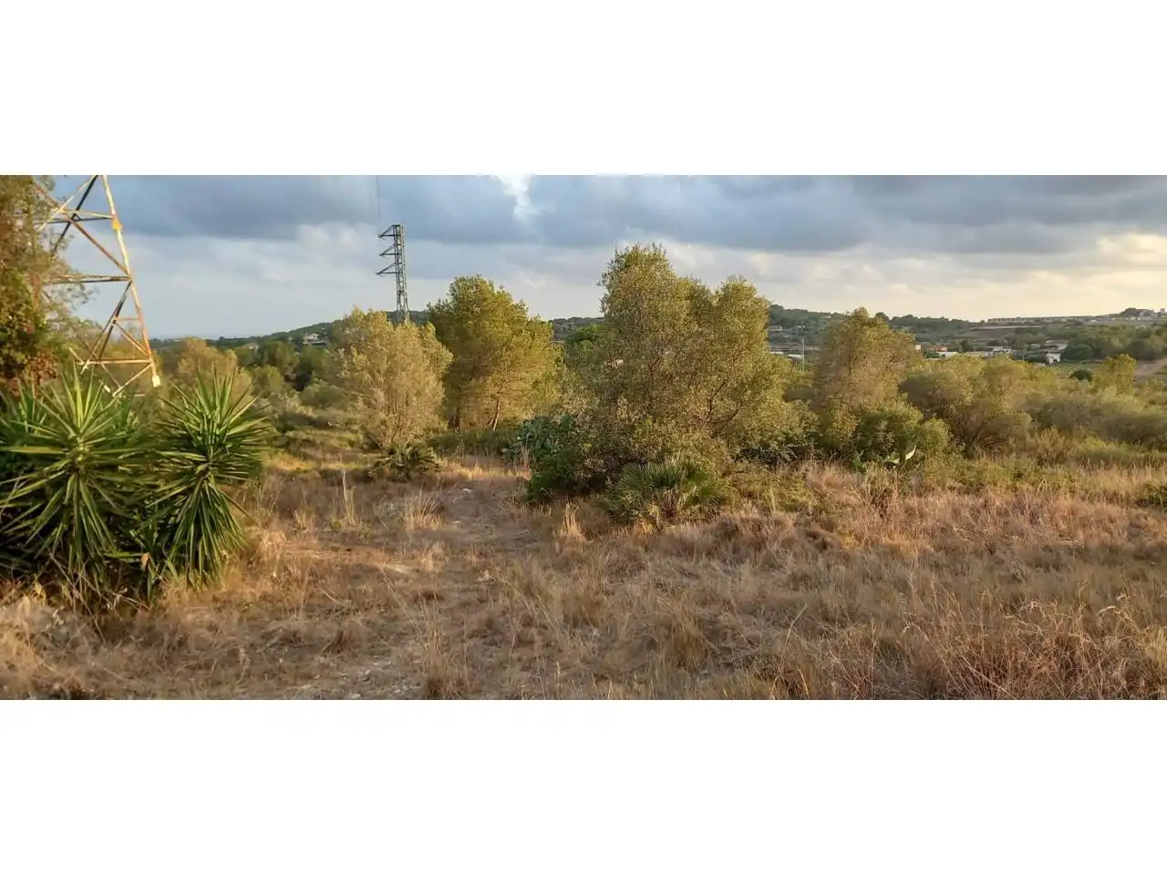 Rural land for sale in Poligono 41, imagen 3