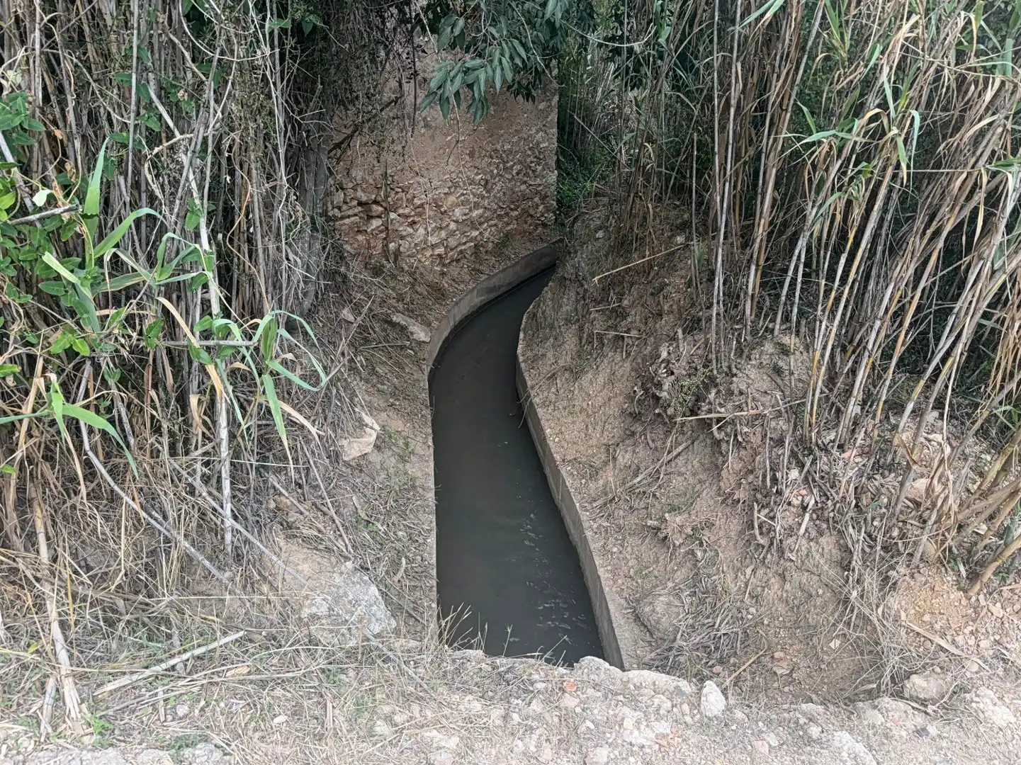 Terreny rústic en venda a Carretera del Catllar 22, imagen 22
