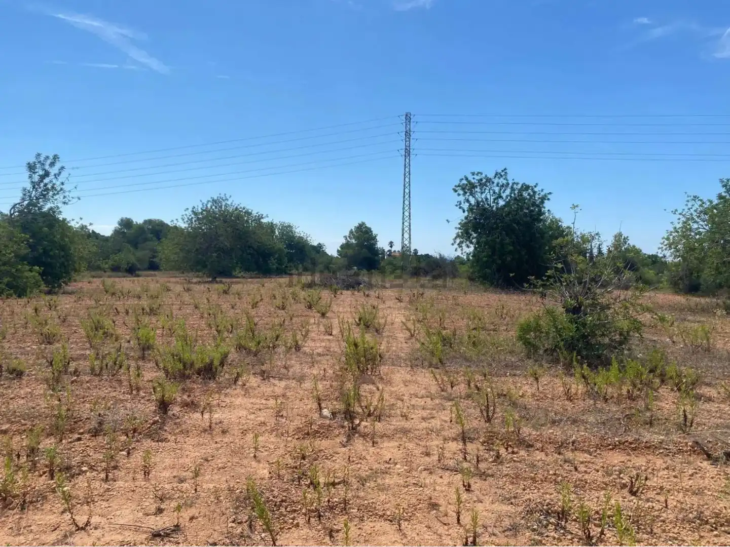 Rural land for sale in Extrarradio Diseminado 1, imagen 6