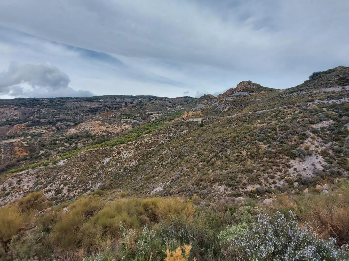 Country homes for sale in Nevada