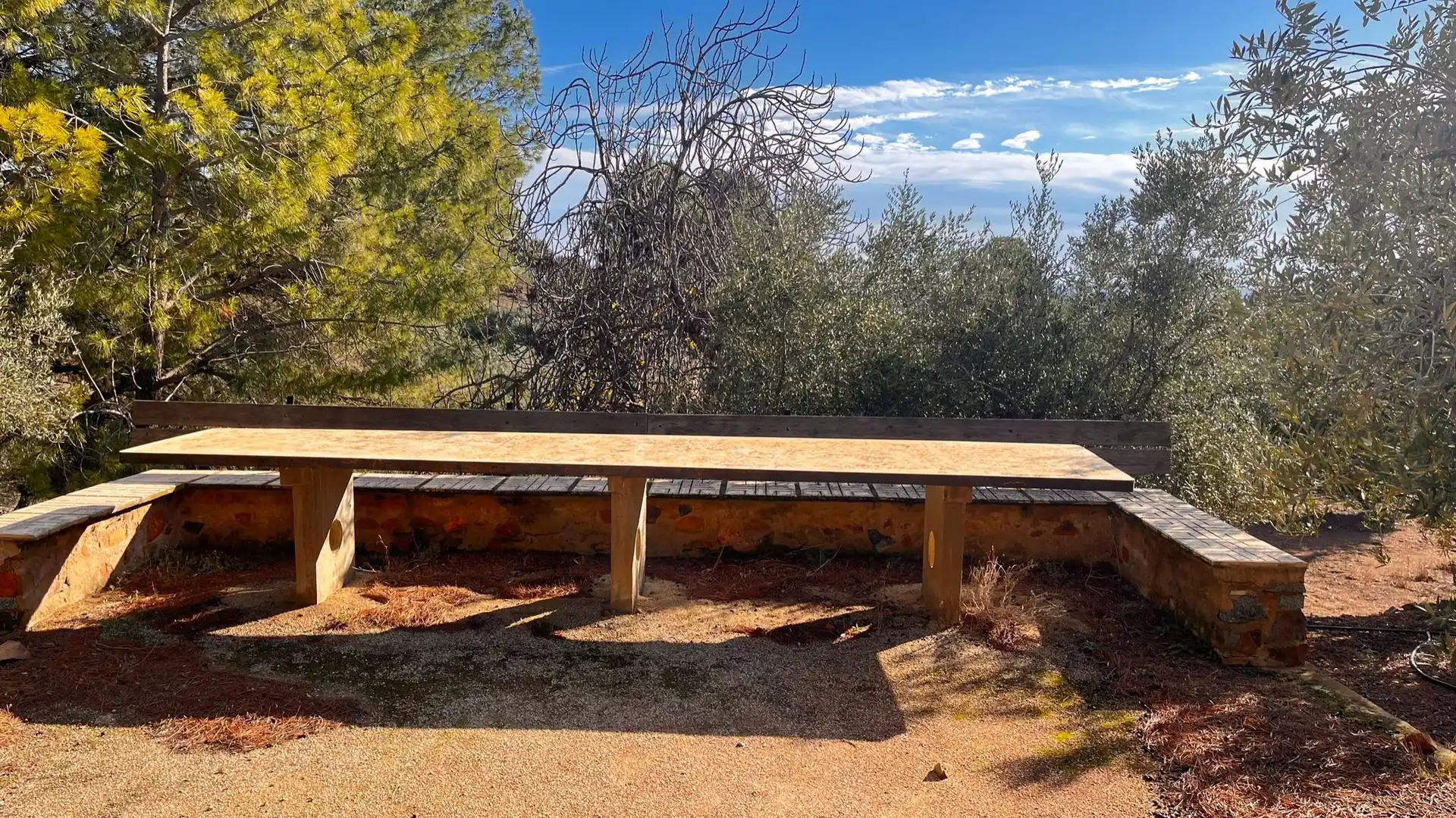 Terreno rustico in vendita a Carrer de Sant Abdó i Sant Senén, imagen 18