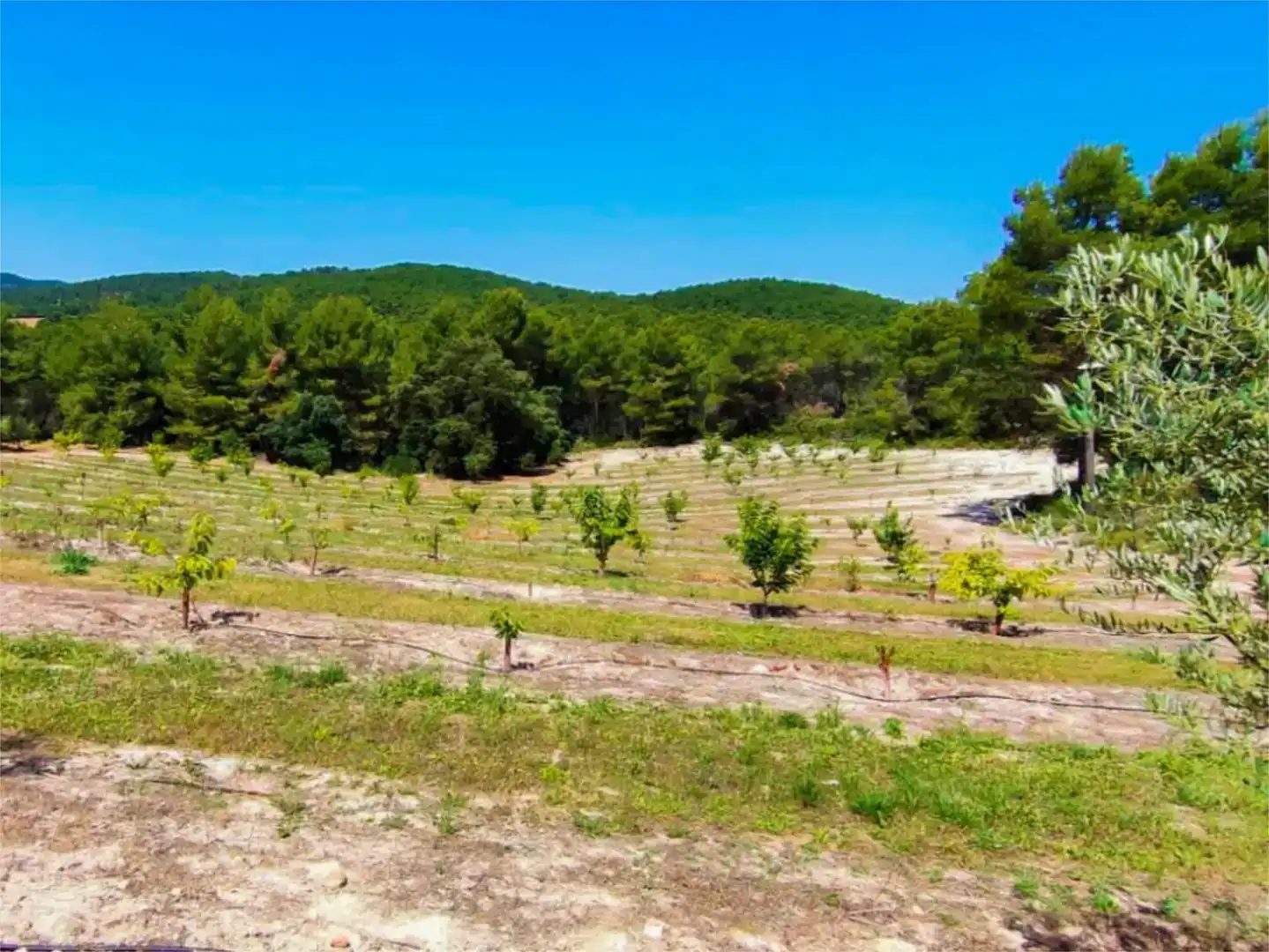 Wohnung zur Miete in Alcoy / Alcoi mit Klimaanlage, Privatgarten und Schwimmbad