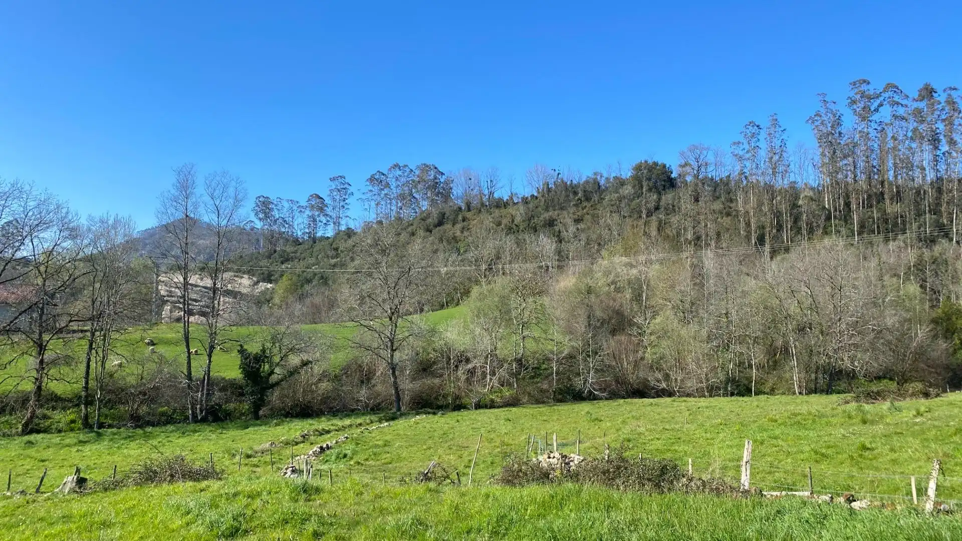 Terreni e lotti in vendita a Valdáliga, imagen 2